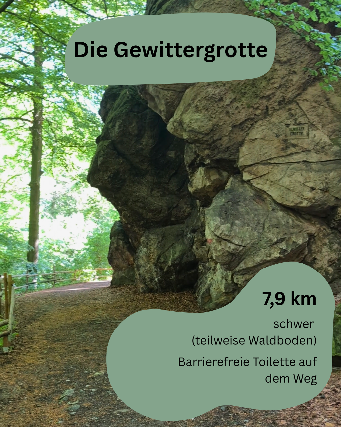 Komplett Set Barrierearme Wesenbergkarten - Wandern im Harz (Beta-Version)
