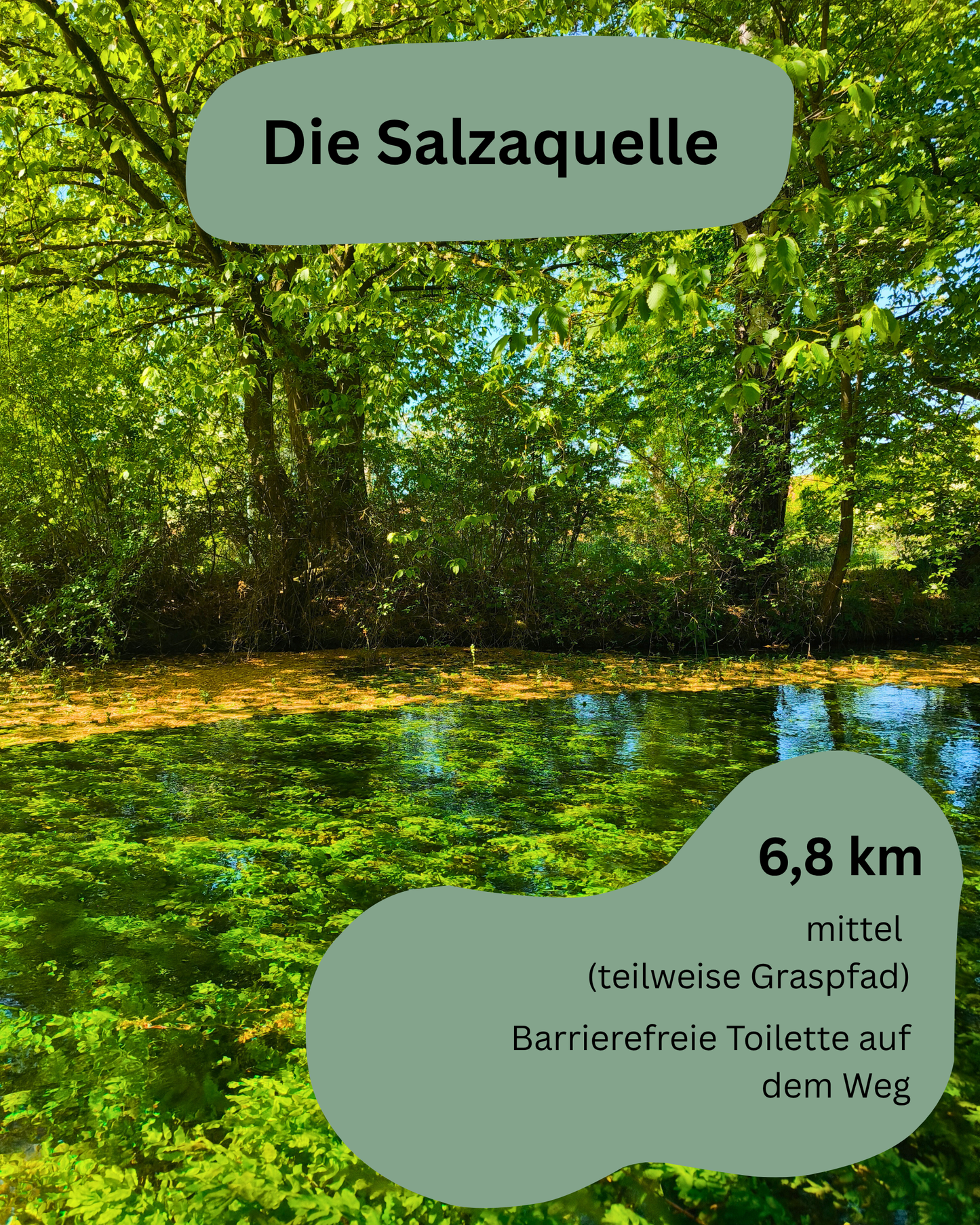 Komplett Set Barrierearme Wesenbergkarten - Wandern im Harz (Beta-Version)