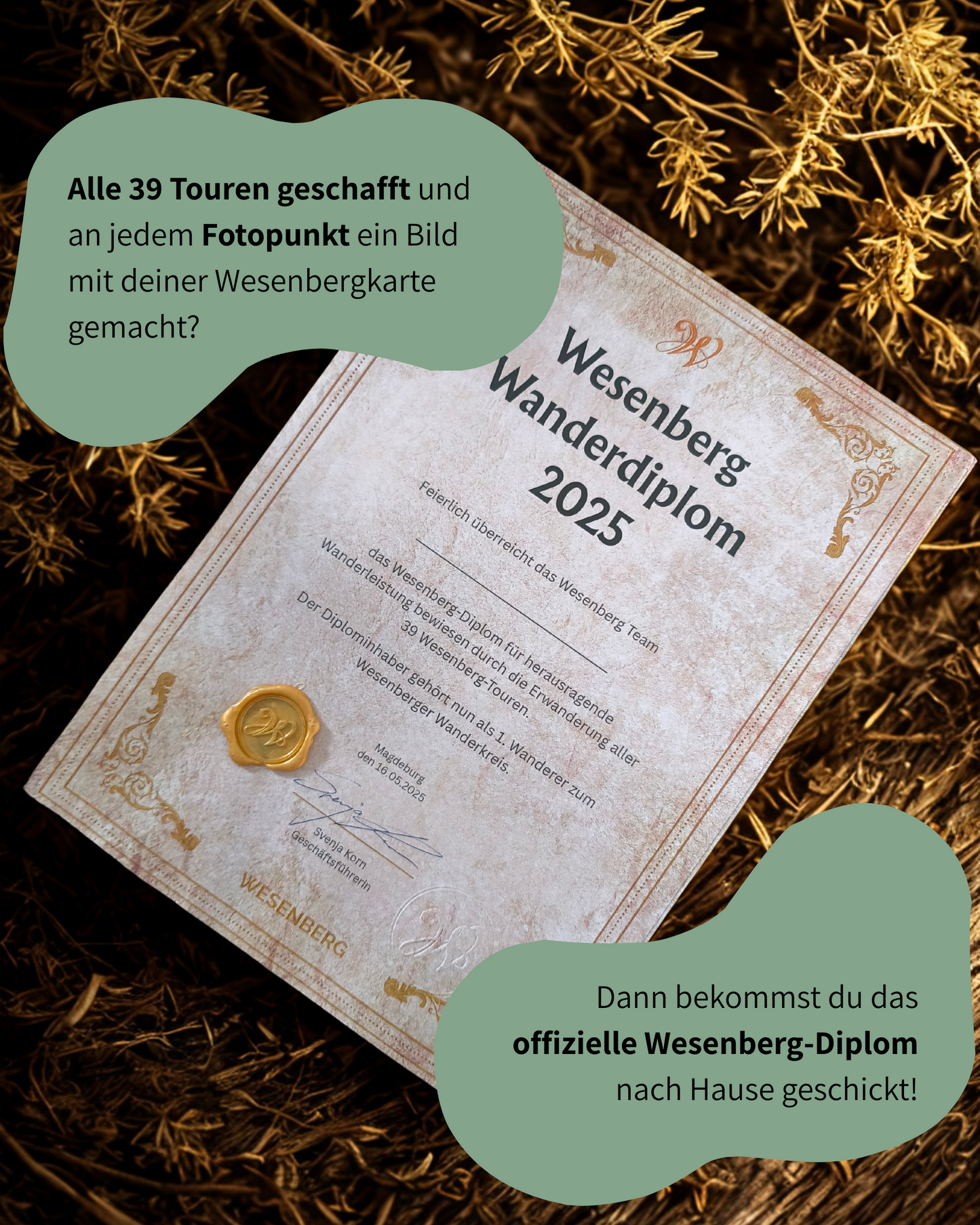 Wesenbergkarten - Wandern im Thüringer Wald