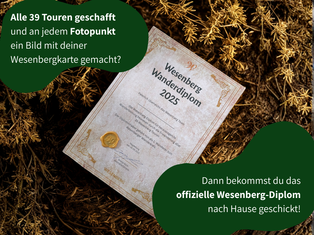 Wesenbergkarten - Wandern im Thüringer Wald