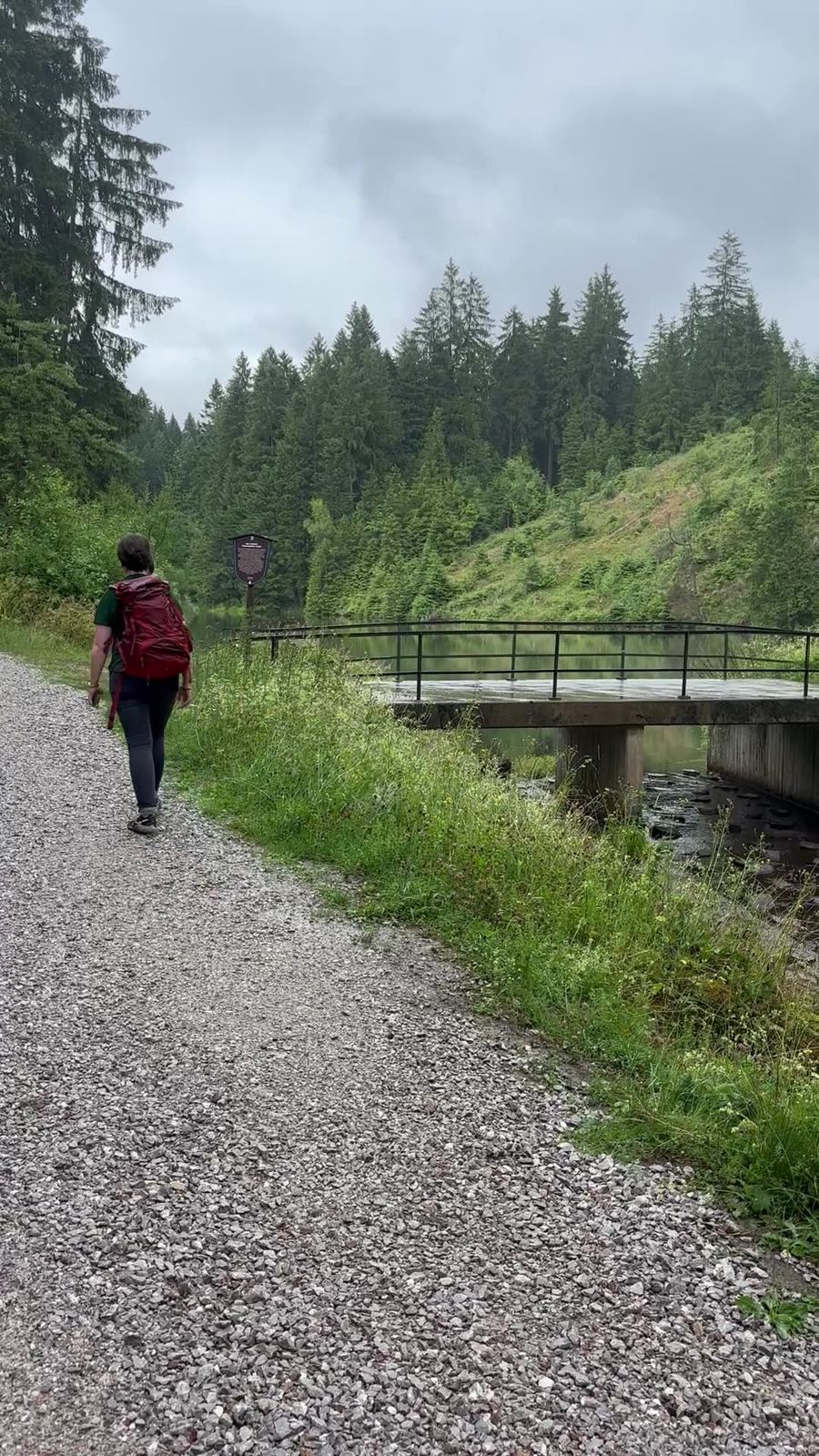 Wanderin auf einem Schotterweg mit Brücke und Fichtenwald