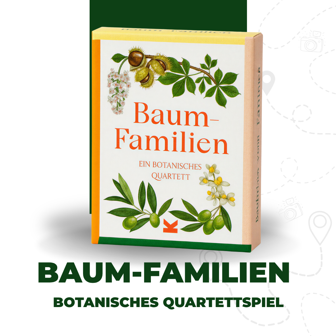 Baum-Familien | Ein botanisches Quartettspiel
