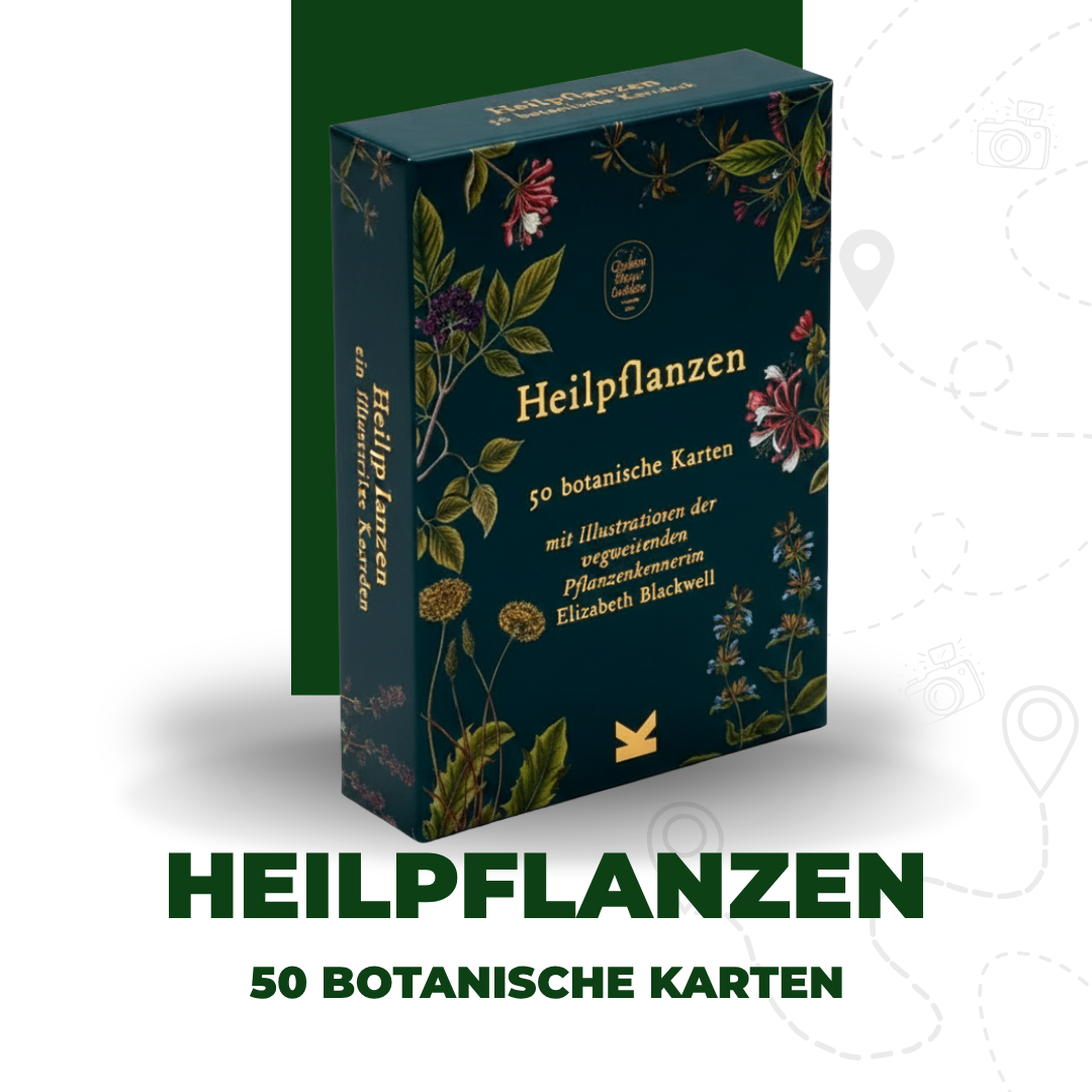 Heilpflanzen | 50 botanische Karten
