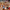 Keramik-Set zum Bemalen – Teenager-Party & Kindergeburtstag