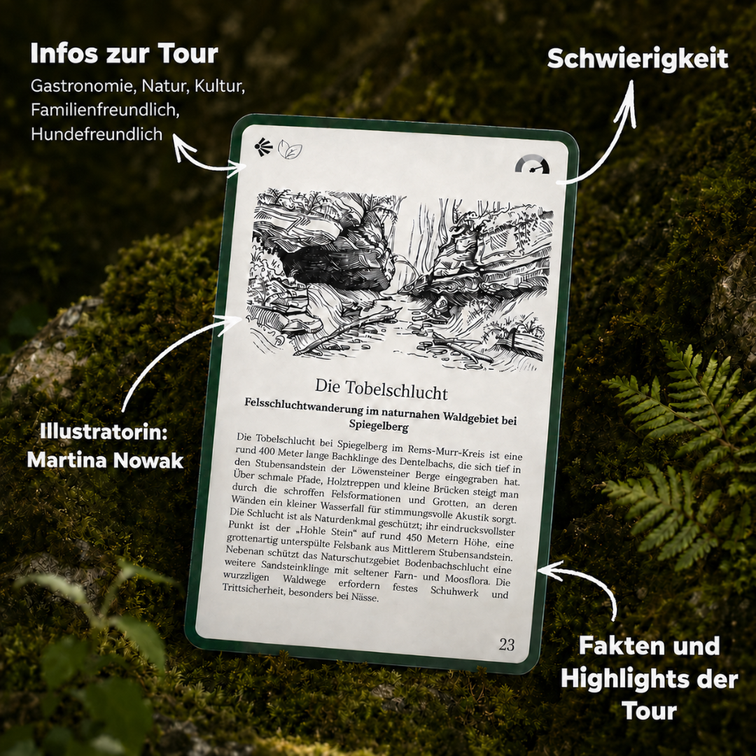 JETZT VORBESTELLEN Wesenbergkarten - Wandern im Schwäbisch Fränkischen Wald