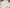 30-Tage-Raus-Challenge