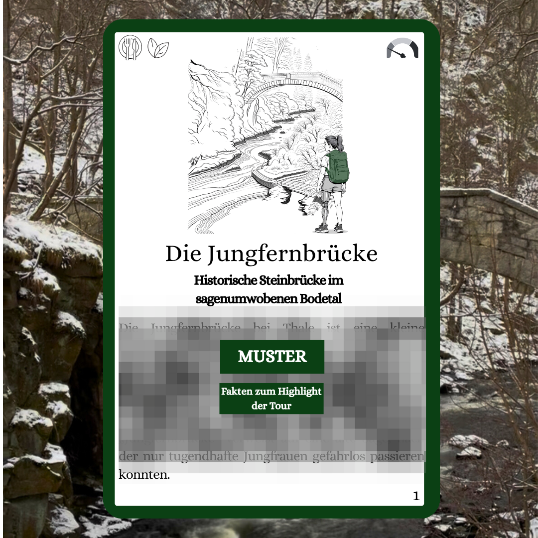Komplett Set Barrierearme Wesenbergkarten - Wandern im Harz (Beta-Version)
