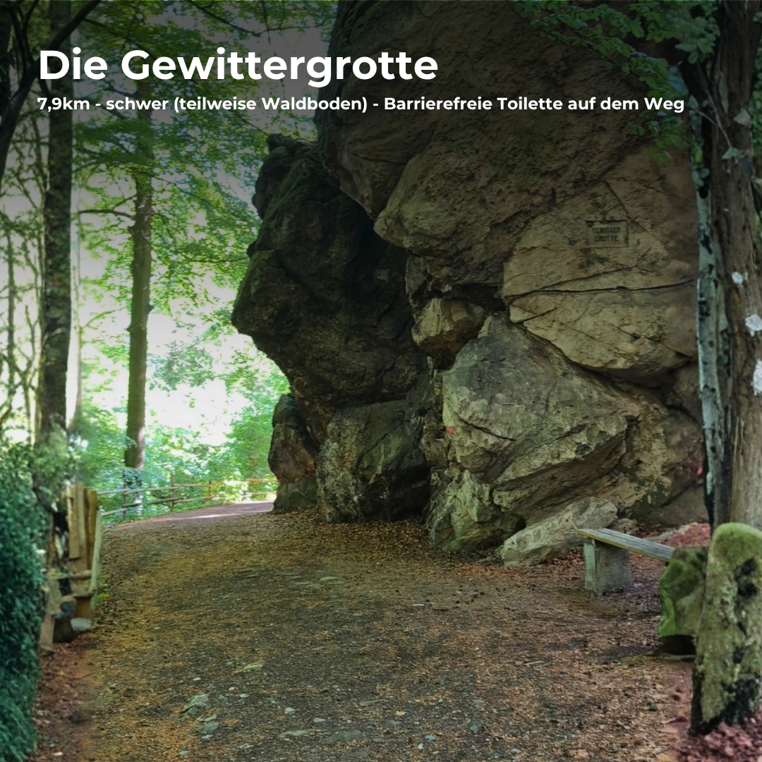 Komplett Set Barrierearme Wesenbergkarten - Wandern im Harz (Beta-Version)