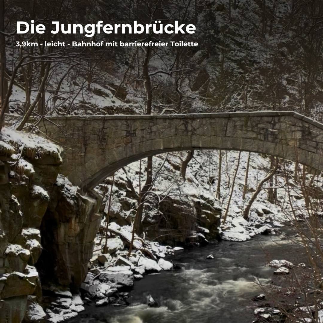 Komplett Set Barrierearme Wesenbergkarten - Wandern im Harz (Beta-Version)