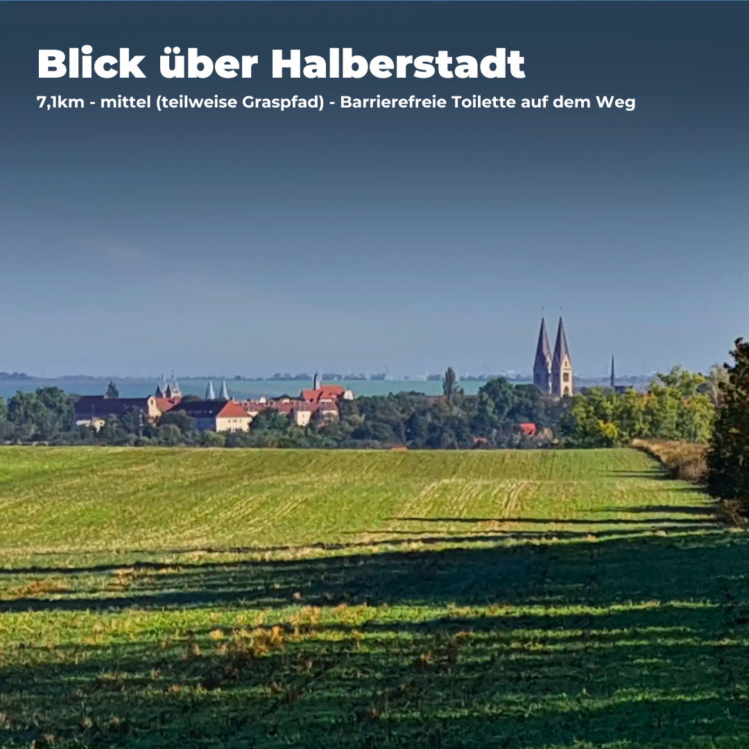Komplett Set Barrierearme Wesenbergkarten - Wandern im Harz (Beta-Version)