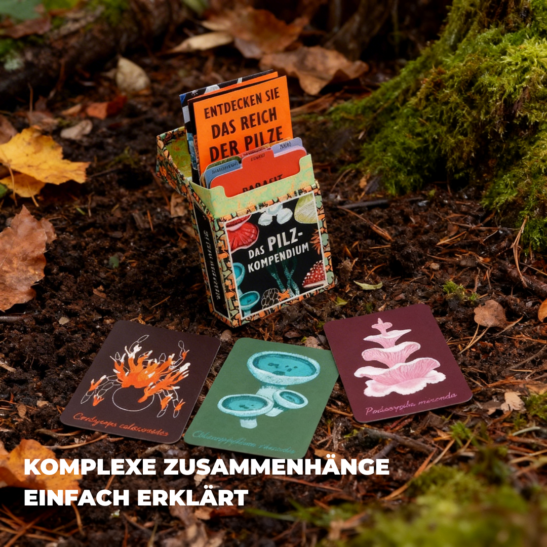 Das Pilz-Kompendium | Entdecke das Reich der Pilze