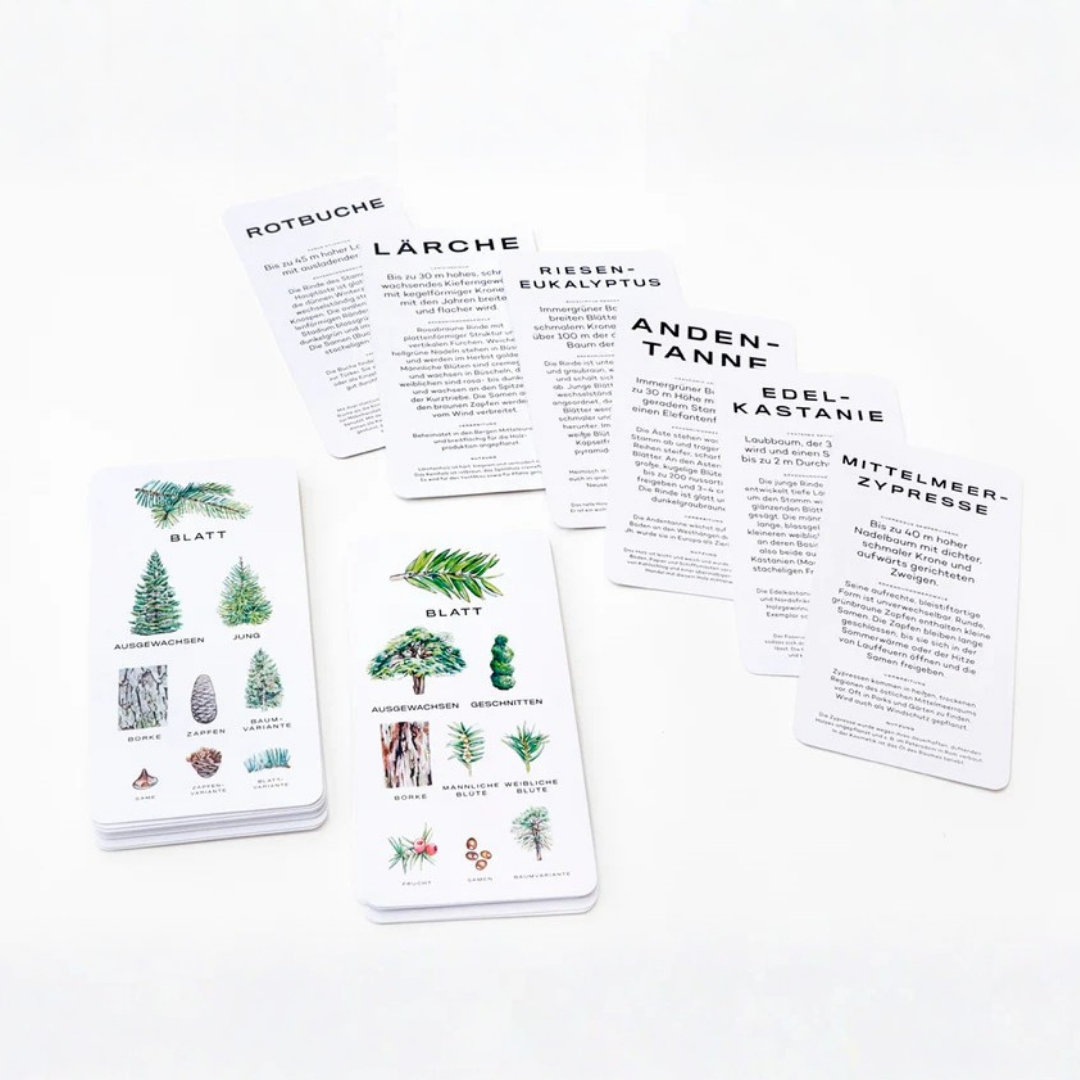 Baum-Wissen | 30 Karten zum Erkennen von Bäumen