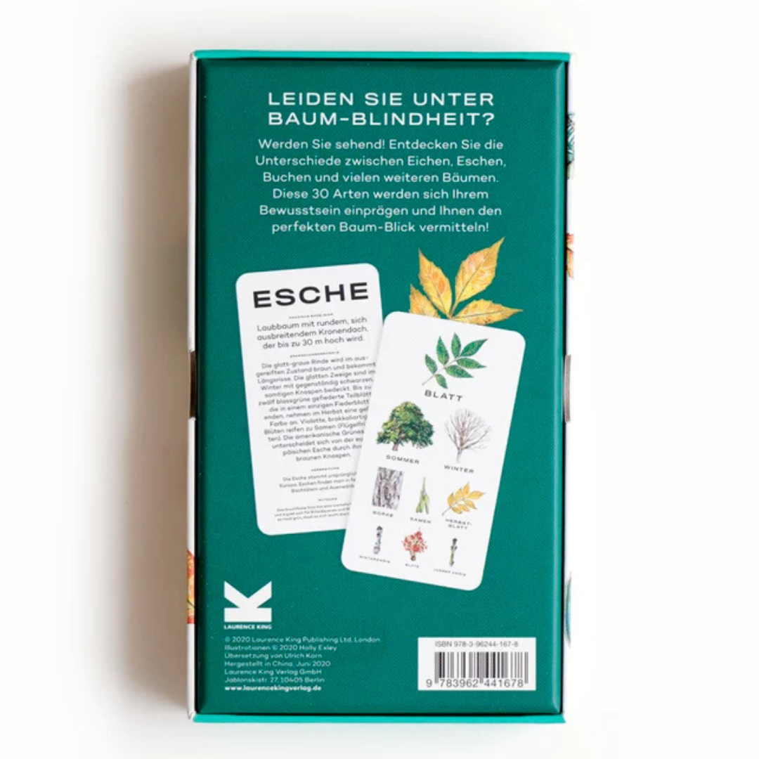 Baum-Wissen | 30 Karten zum Erkennen von Bäumen