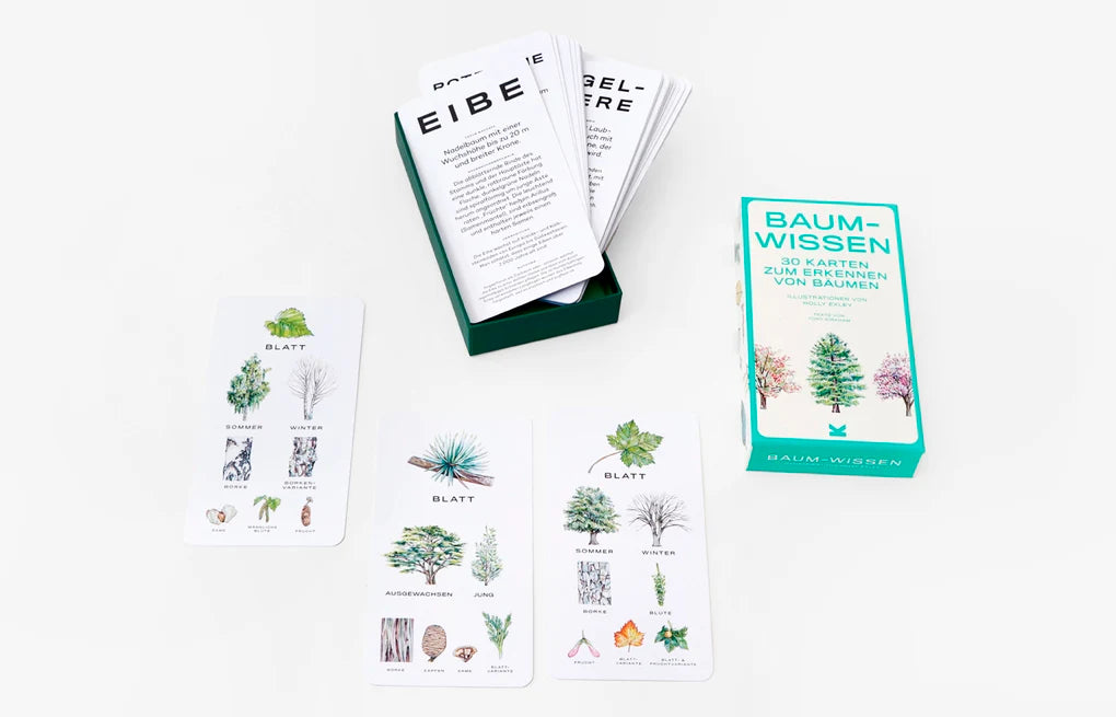 Baum-Wissen | 30 Karten zum Erkennen von Bäumen