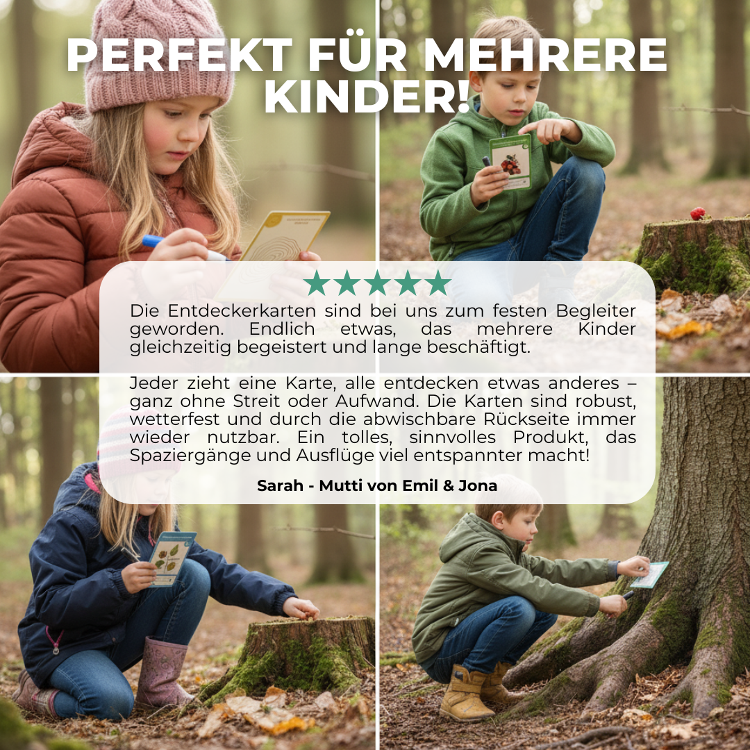 Entdeckerkarten für Kinder - Natur entdecken mit Dieter dem Dachs