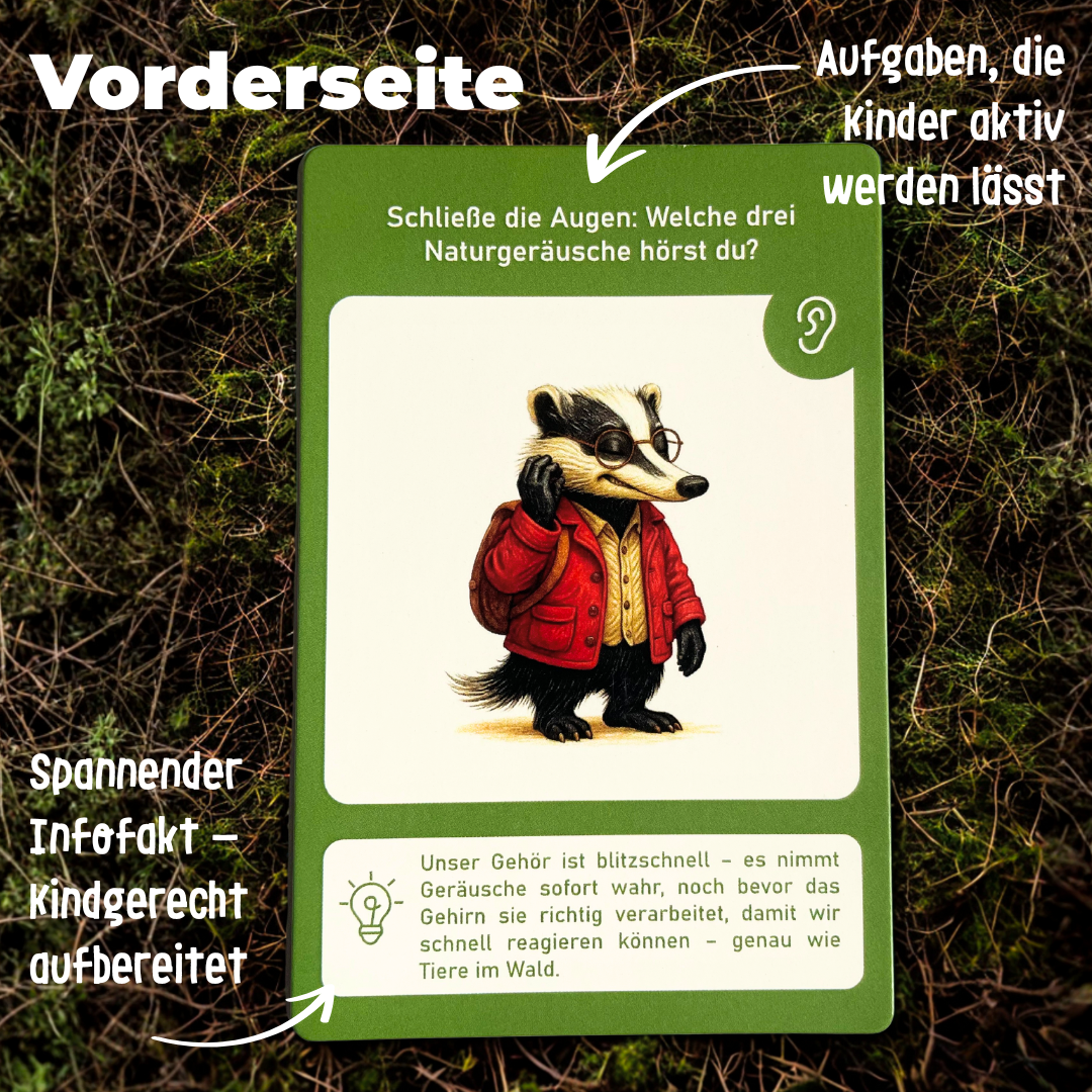 Entdeckerkarten für Kinder - Natur entdecken mit Dieter dem Dachs
