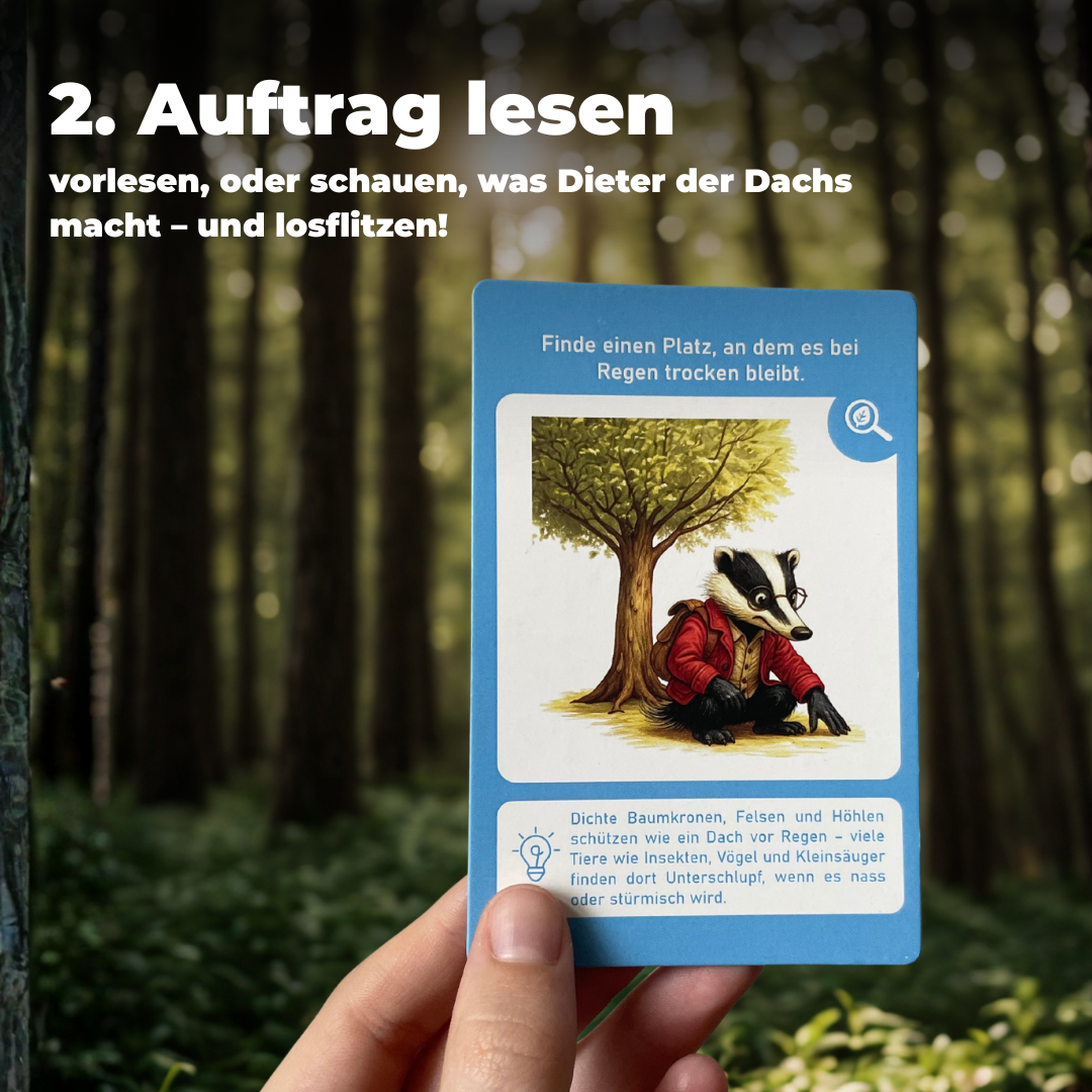 Entdeckerkarten für Kinder - Natur entdecken mit Dieter dem Dachs