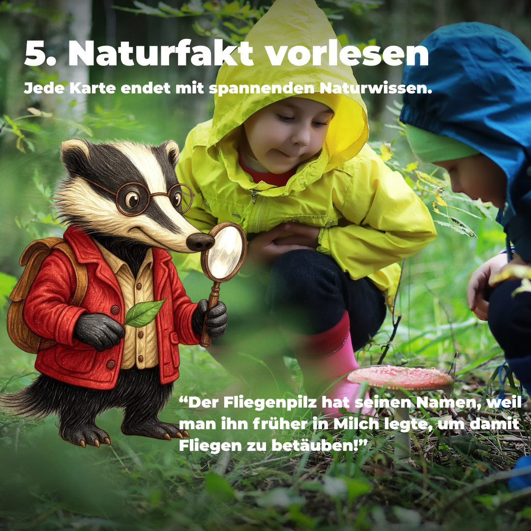 Entdeckerkarten für Kinder - Natur entdecken mit Dieter dem Dachs