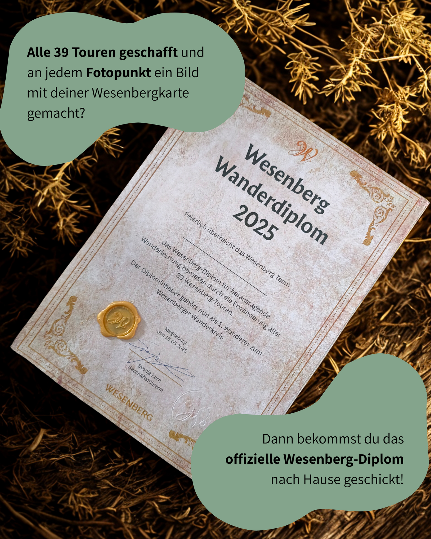 Wesenbergkarten - Wandern im Thüringer Wald