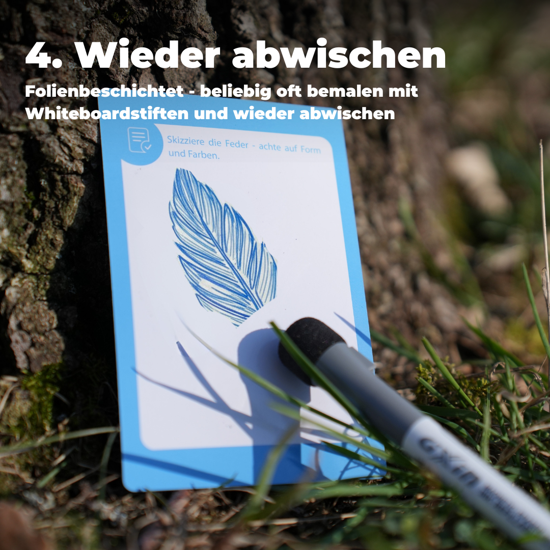 Entdeckerkarten für Kinder - Natur entdecken mit Dieter dem Dachs