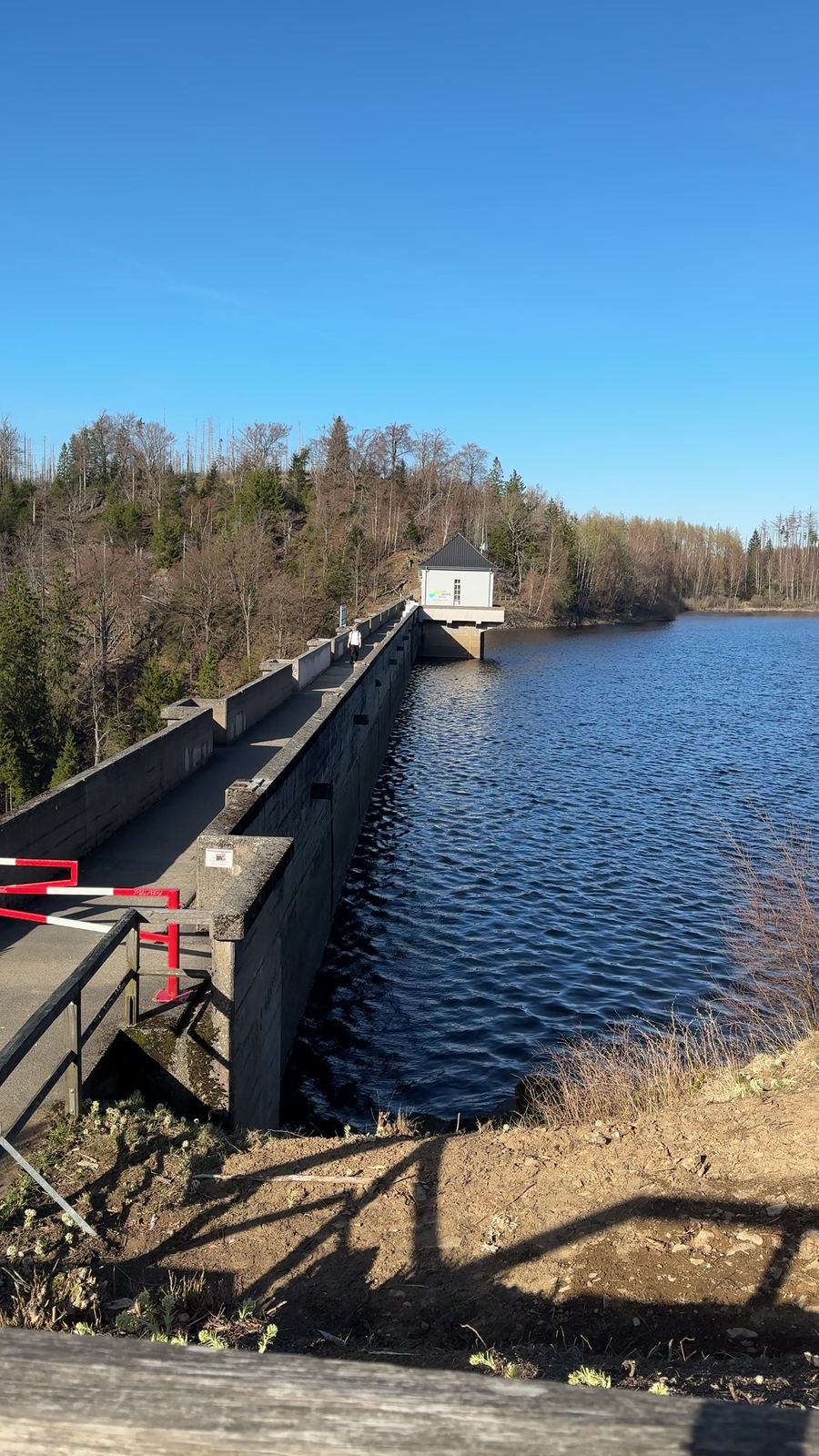 Staumauer der Eckertalsperre mit Stausee