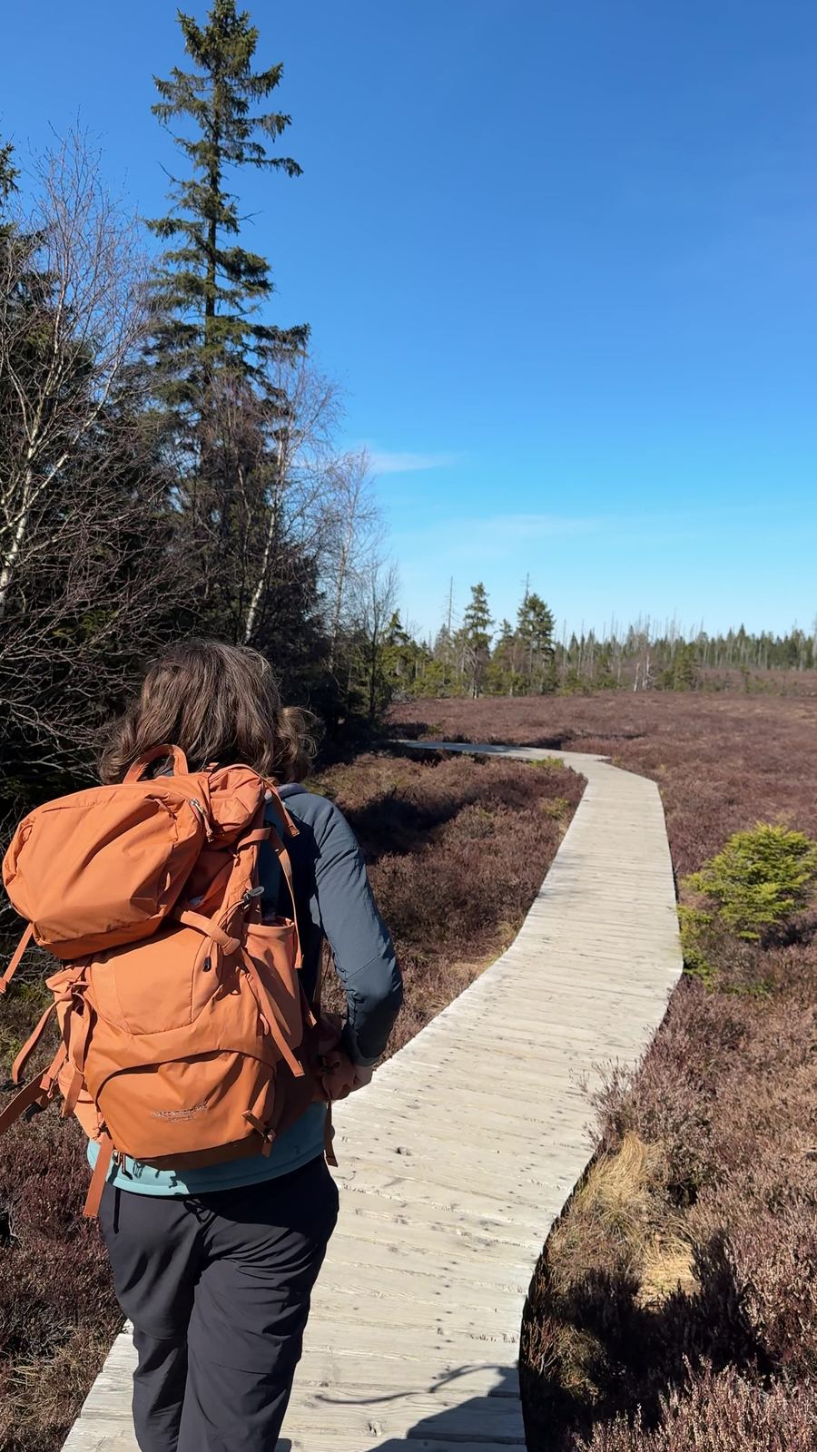 Wanderin auf dem Bohlenweg im Torfhausmoor