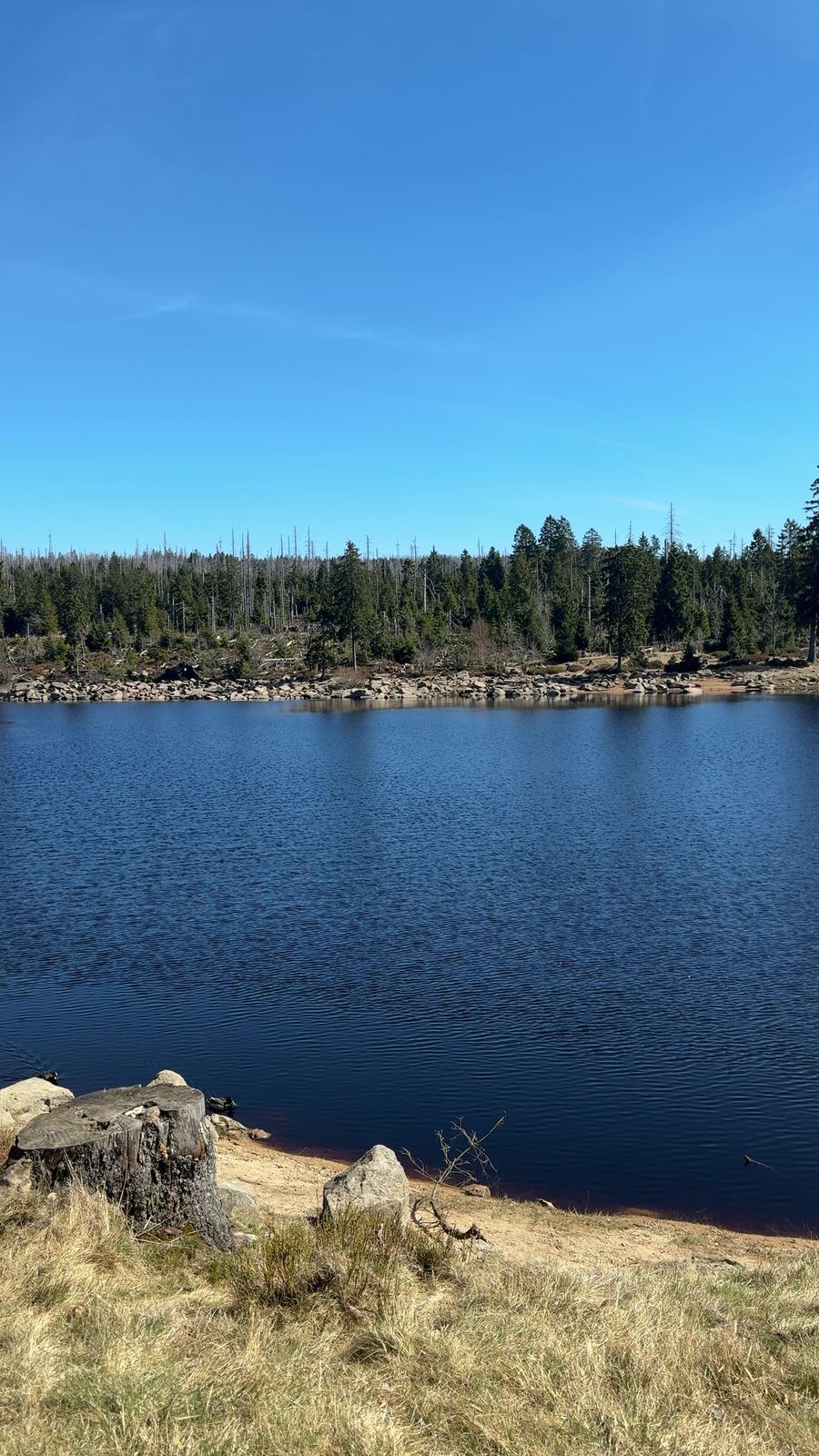 Oderteich im Nationalpark Harz bei blauem Himmel